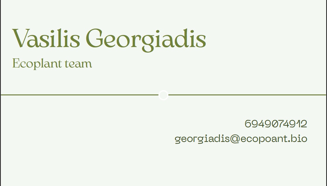 Ψηφιακή κάρτα Georgiadis