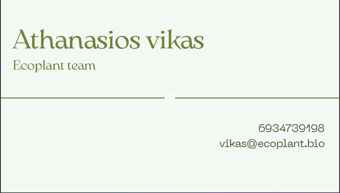 Ψηφιακή κάρτα Vikas